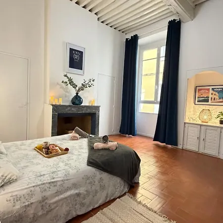 Le Majestic - Clim - Coeur De Apartment *